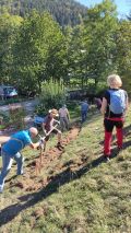 Zum 10. mal - die MTBler des RSV treffen sich mit dem Schwarzwaldverein zur Wegepflege 