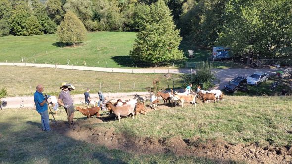 Kaum noch Platz zum Arbeiten