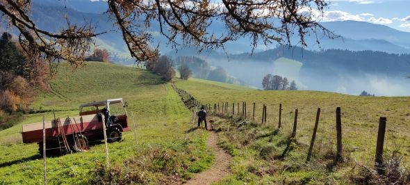Meinrads neues Waldgefährt